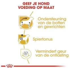 Royal Canin Dachshund/Teckel Adult 7.5 KG 19 Royal Canin Dachshund/Teckel Adult 7.5 KG -Dierenwinkel 1200x1200 107