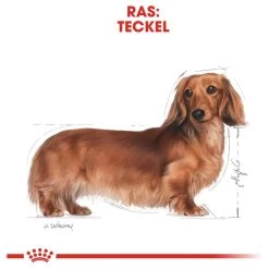 Royal Canin Dachshund/Teckel Adult 7.5 KG 26 Royal Canin Dachshund/Teckel Adult 7.5 KG -Dierenwinkel 1200x1200 111