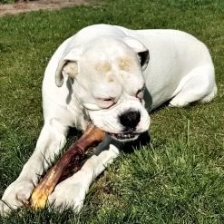 Topdiervoeding Runderkophuid Hondensnacks - Vers Gedroogd - 30cm - 1000 Gram 11 Topdiervoeding Runderkophuid Hondensnacks - Vers Gedroogd - 30cm - 1000 Gram -Dierenwinkel 1200x1200 138