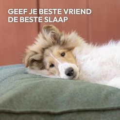 Snoozle Orthopedische Hondenmand - Zacht En Luxe Hondenkussen - Hondenbed - Wasbaar - Hondenmanden - 100 X 70 Cm - Stormy Grey 21 Snoozle Orthopedische Hondenmand - Zacht En Luxe Hondenkussen - Hondenbed - Wasbaar - Hondenmanden - 100 X 70 Cm - Stormy Grey -Dierenwinkel 1200x1200 157