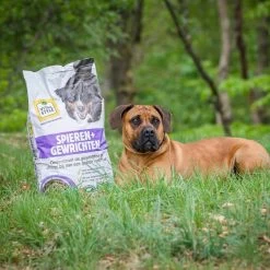 VITALstyle SPIEREN+GEWRICHTEN - Hondenbrokken - 12 Kg -Dierenwinkel 1200x1200 162