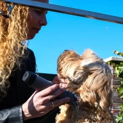 Clipr Ultimate 2-speed Hondentondeuse Op Accu -Dierenwinkel 1200x1200 174