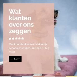Rexproduct Hondenkussen - Hondenmand - Hondenbed Met Rits En Wasbaar - Manden & Kussens 90 X 110 CM - 0 Tot 80 Kg - SoftPet Groen -Dierenwinkel 1200x1200 189