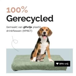 Rexproduct Hondenkussen - Hondenmand - Hondenbed Met Rits En Wasbaar - Manden & Kussens 90 X 110 CM - 0 Tot 80 Kg - SoftPet Groen -Dierenwinkel 1200x1200 190
