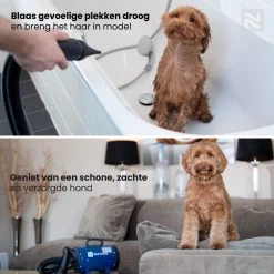 Nuvoo Professionele Hondenföhn / Waterblazer / Hondenborstel Met 3 Opzetstukken - Verstelbare Vermogen Tot 2200W - Warme / Koude Stand - Rood -Dierenwinkel 1200x1200 20