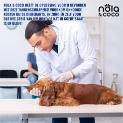 Nola & Coco® Tandsteen Verwijderaar Set Inclusief Bewaardoosje - Tandenkrabber - Set Van Twee - Hond - Kat - Tandenborstel - Tandplak Verwijderen - Tandenstoker - Honden Tanden Schoonmaken - Tandenhaakje - Gebitsreiniging 11 Nola & Coco® Tandsteen Verwijderaar Set Inclusief Bewaardoosje - Tandenkrabber - Set Van Twee - Hond - Kat - Tandenborstel - Tandplak Verwijderen - Tandenstoker - Honden Tanden Schoonmaken - Tandenhaakje - Gebitsreiniging -Dierenwinkel 1200x1200 219