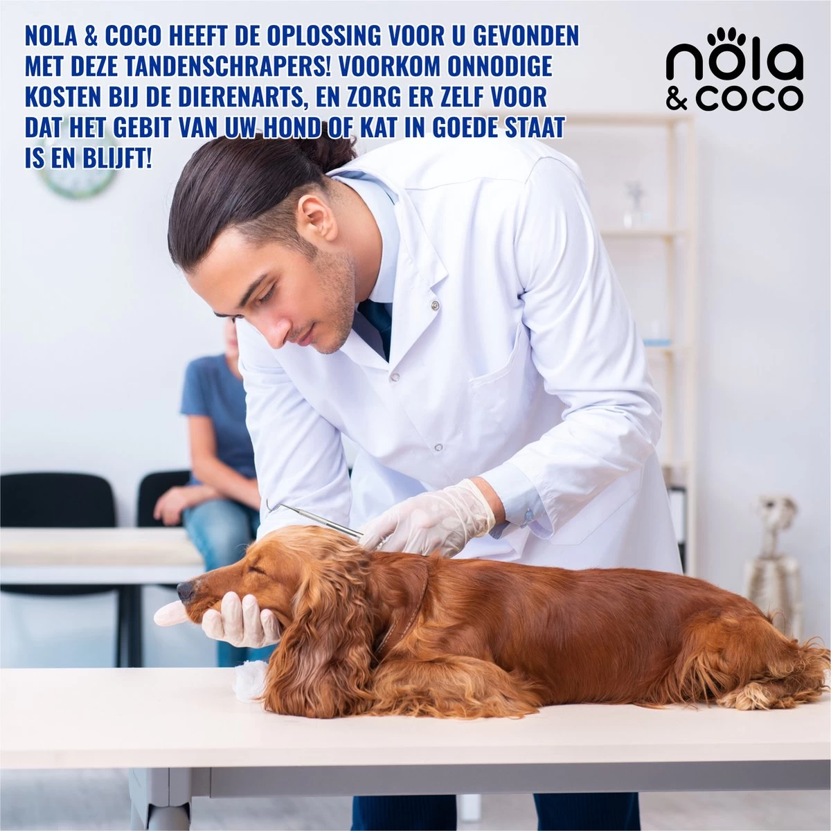 Nola & Coco® Tandsteen Verwijderaar Set Inclusief Bewaardoosje - Tandenkrabber - Set Van Twee - Hond - Kat - Tandenborstel - Tandplak Verwijderen - Tandenstoker - Honden Tanden Schoonmaken - Tandenhaakje - Gebitsreiniging 5 Nola & Coco® Tandsteen Verwijderaar Set Inclusief Bewaardoosje - Tandenkrabber - Set Van Twee - Hond - Kat - Tandenborstel - Tandplak Verwijderen - Tandenstoker - Honden Tanden Schoonmaken - Tandenhaakje - Gebitsreiniging - Afbeelding 3