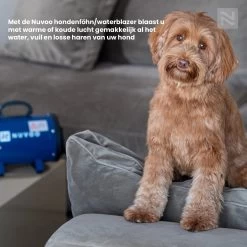 Nuvoo Professionele Hondenföhn / Waterblazer / Hondenborstel Met 3 Opzetstukken - Verstelbare Vermogen Tot 2200W - Warme / Koude Stand - Rood -Dierenwinkel 1200x1200 22