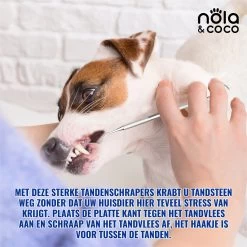 Nola & Coco® Tandsteen Verwijderaar Set Inclusief Bewaardoosje - Tandenkrabber - Set Van Twee - Hond - Kat - Tandenborstel - Tandplak Verwijderen - Tandenstoker - Honden Tanden Schoonmaken - Tandenhaakje - Gebitsreiniging 14 Nola & Coco® Tandsteen Verwijderaar Set Inclusief Bewaardoosje - Tandenkrabber - Set Van Twee - Hond - Kat - Tandenborstel - Tandplak Verwijderen - Tandenstoker - Honden Tanden Schoonmaken - Tandenhaakje - Gebitsreiniging -Dierenwinkel 1200x1200 222