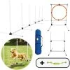 AYOO Agility Voor De Hond - Honden Training - Honden Behendigheid Set - Hondenparcours - Training Huisdieren - Honden Agility Set - Slalom - Horde - Draagzak - Agility Set - Oranje - Wit - GRATIS Speeltouw -Dierenwinkel 1200x1200 243