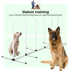 AYOO Agility Voor De Hond - Honden Training - Honden Behendigheid Set - Hondenparcours - Training Huisdieren - Honden Agility Set - Slalom - Horde - Draagzak - Agility Set - Oranje - Wit - GRATIS Speeltouw -Dierenwinkel 1200x1200 247