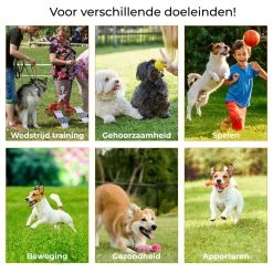 AYOO Agility Voor De Hond - Honden Training - Honden Behendigheid Set - Hondenparcours - Training Huisdieren - Honden Agility Set - Slalom - Horde - Draagzak - Agility Set - Oranje - Wit - GRATIS Speeltouw -Dierenwinkel 1200x1200 248