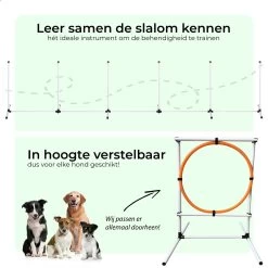 AYOO Agility Voor De Hond - Honden Training - Honden Behendigheid Set - Hondenparcours - Training Huisdieren - Honden Agility Set - Slalom - Horde - Draagzak - Agility Set - Oranje - Wit - GRATIS Speeltouw -Dierenwinkel 1200x1200 249