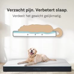 CozySense® - Orthopedisch Hondenkussen - Hondenkussen 100 X 70 Cm - Geschikt Als Benchkussen & Hondenbed - Hondenkussen Bank - Traagschuim - Waterdicht - Wasbare Hoes - Maat XL 12 CozySense® - Orthopedisch Hondenkussen - Hondenkussen 100 X 70 Cm - Geschikt Als Benchkussen & Hondenbed - Hondenkussen Bank - Traagschuim - Waterdicht - Wasbare Hoes - Maat XL -Dierenwinkel 1200x1200 269