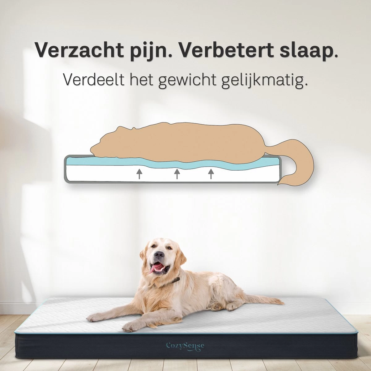 CozySense® - Orthopedisch Hondenkussen - Hondenkussen 100 X 70 Cm - Geschikt Als Benchkussen & Hondenbed - Hondenkussen Bank - Traagschuim - Waterdicht - Wasbare Hoes - Maat XL 5 CozySense® - Orthopedisch Hondenkussen - Hondenkussen 100 X 70 Cm - Geschikt Als Benchkussen & Hondenbed - Hondenkussen Bank - Traagschuim - Waterdicht - Wasbare Hoes - Maat XL - Afbeelding 3