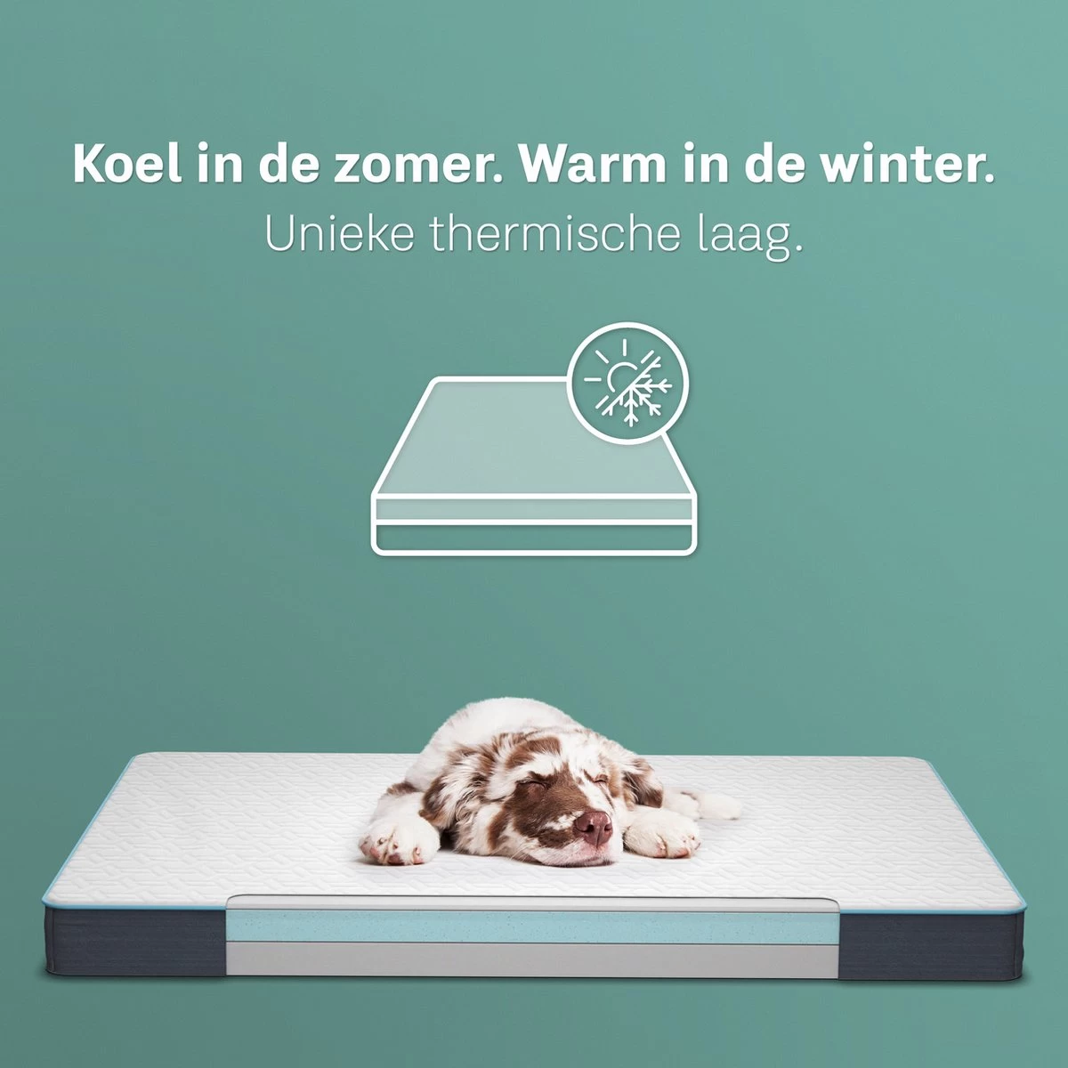 CozySense® - Orthopedisch Hondenkussen - Hondenkussen 100 X 70 Cm - Geschikt Als Benchkussen & Hondenbed - Hondenkussen Bank - Traagschuim - Waterdicht - Wasbare Hoes - Maat XL 6 CozySense® - Orthopedisch Hondenkussen - Hondenkussen 100 X 70 Cm - Geschikt Als Benchkussen & Hondenbed - Hondenkussen Bank - Traagschuim - Waterdicht - Wasbare Hoes - Maat XL - Afbeelding 4