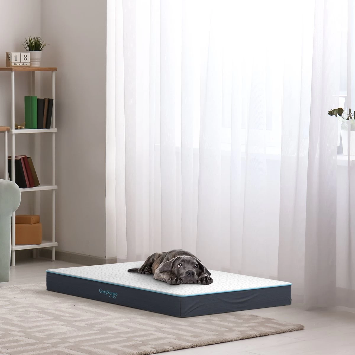 CozySense® - Orthopedisch Hondenkussen - Hondenkussen 100 X 70 Cm - Geschikt Als Benchkussen & Hondenbed - Hondenkussen Bank - Traagschuim - Waterdicht - Wasbare Hoes - Maat XL 8 CozySense® - Orthopedisch Hondenkussen - Hondenkussen 100 X 70 Cm - Geschikt Als Benchkussen & Hondenbed - Hondenkussen Bank - Traagschuim - Waterdicht - Wasbare Hoes - Maat XL - Afbeelding 6