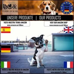 DDOXX Hondenharnas, Reflecterend, Verstelbaar, Breakaway | Borstharnas Voor Klein, Middelgroot | Hondenharnas Hond Kat Puppy Auto | Kattenharnas Puppy Harnas | Roze Roze, S -Dierenwinkel 1200x1200 279