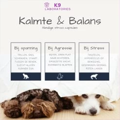 K9 Laboratories Kalmte & Balans - Hond - 60 Stuks - Bij Stress, Angst En Agressie - Ashwagandha - L-tryptofaan - Passiebloem - Valeriaanwortel - Lavendel 13 K9 Laboratories Kalmte & Balans - Hond - 60 Stuks - Bij Stress, Angst En Agressie - Ashwagandha - L-tryptofaan - Passiebloem - Valeriaanwortel - Lavendel -Dierenwinkel 1200x1200 308
