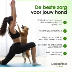 DOG OPTIMAL Gewricht Supplement 120 Stuks - Mobility - Glucosamine Hond - Artrose - Heupdysplasie - Gewrichten - Hondensnacks - Hondenkoekjes - Hondensupplementen - Honden - Puppy - Hondenvoeding -Dierenwinkel 1200x1200 314