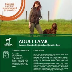 Wellness Core Grain Free Dog Adult Lam - Hondenvoer - 10 Kg 11 Wellness Core Grain Free Dog Adult Lam - Hondenvoer - 10 Kg -Dierenwinkel 1200x1200 318