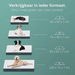 Dierenwinkel -Dierenwinkel 1200x1200 319