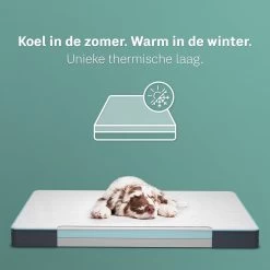 CozySense® - Orthopedisch Hondenkussen - Hondenkussen 90 X 55 Cm - Ook Geschikt Als Benchkussen & Hondenbed - Hondenkussen Bank - Traagschuim - Waterdicht - Wasbare Hoes - Maat L -Dierenwinkel 1200x1200 321