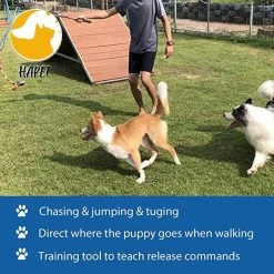 CF Pack - Hond Buitenspeelgoed Actief Behendigheid Touw Dog Flirt Pole Flirtpole Toy Tug Tease Wand Non-Bungee Cord Dog Toy For Fun Obedience Training Extandable Toy Honden Speelgoed Hondenspeelgoed Behendigheidspeelgoed 12 CF Pack - Hond Buitenspeelgoed Actief Behendigheid Touw Dog Flirt Pole Flirtpole Toy Tug Tease Wand Non-Bungee Cord Dog Toy For Fun Obedience Training Extandable Toy Honden Speelgoed Hondenspeelgoed Behendigheidspeelgoed -Dierenwinkel 1200x1200 332