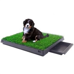 Merkloos Hondentoilet Kunstgras Met Bak - Indoor Dierentoilet - Uitneembare Opvangbak - Puppy Training Pets - Outdoor/Balkon/Tuin/Indoor Toilet - 50x64 Cm 19 Merkloos Hondentoilet Kunstgras Met Bak - Indoor Dierentoilet - Uitneembare Opvangbak - Puppy Training Pets - Outdoor/Balkon/Tuin/Indoor Toilet - 50x64 Cm -Dierenwinkel 1200x1200 340