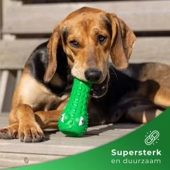 Tandenborstel Hond Melk Geur Smaak En Piep Honden Speelgoed Dog Toy - Krokodil Groen - Dutchwide 14 Tandenborstel Hond Melk Geur Smaak En Piep Honden Speelgoed Dog Toy - Krokodil Groen - Dutchwide -Dierenwinkel 1200x1200 343