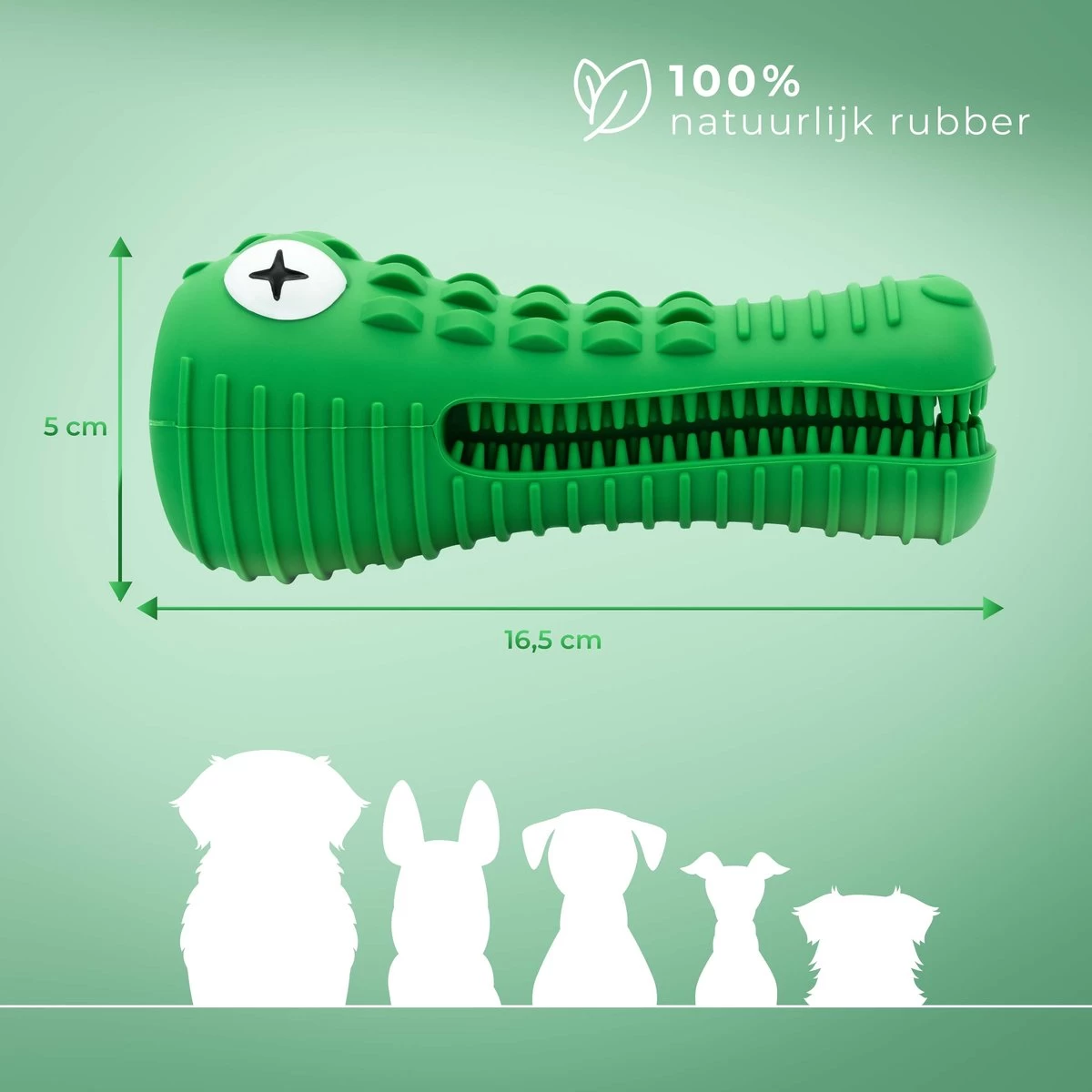 Tandenborstel Hond Melk Geur Smaak En Piep Honden Speelgoed Dog Toy - Krokodil Groen - Dutchwide 8 Tandenborstel Hond Melk Geur Smaak En Piep Honden Speelgoed Dog Toy - Krokodil Groen - Dutchwide - Afbeelding 6