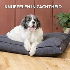 Snoozle Orthopedische Hondenmand - Zacht En Luxe Hondenkussen - Hondenbed - Wasbaar - Hondenmanden - 100 X 70 Cm - Groen 20 Snoozle Orthopedische Hondenmand - Zacht En Luxe Hondenkussen - Hondenbed - Wasbaar - Hondenmanden - 100 X 70 Cm - Groen -Dierenwinkel 1200x1200 358