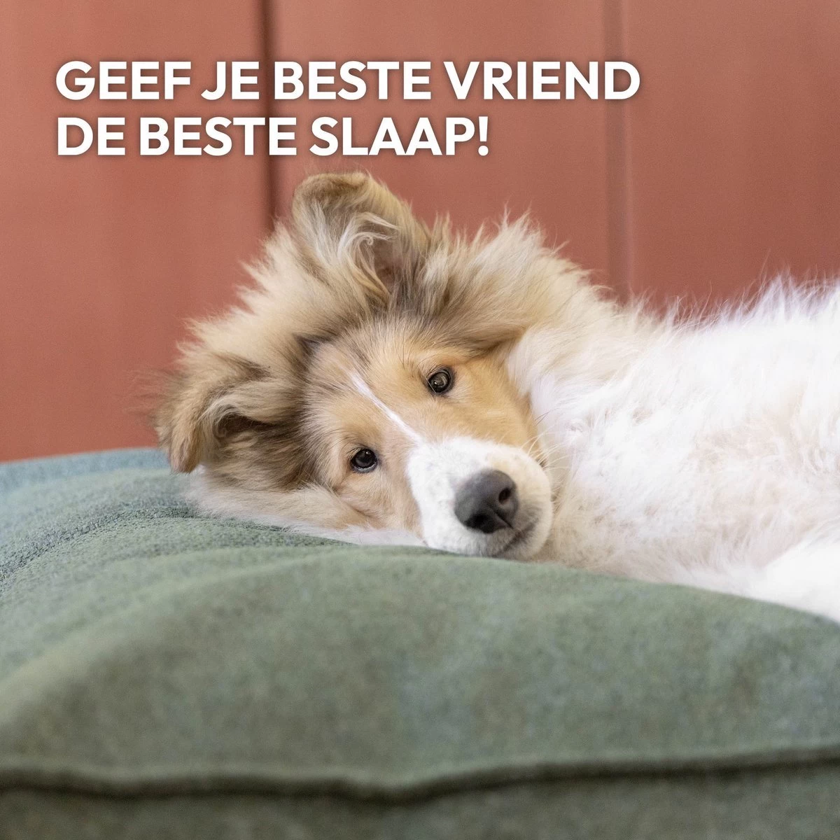 Snoozle Orthopedische Hondenmand - Zacht En Luxe Hondenkussen - Hondenbed - Wasbaar - Hondenmanden - 100 X 70 Cm - Groen 9 Snoozle Orthopedische Hondenmand - Zacht En Luxe Hondenkussen - Hondenbed - Wasbaar - Hondenmanden - 100 X 70 Cm - Groen - Afbeelding 7