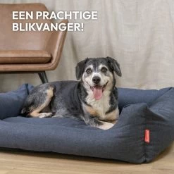 Snoozle Hondenmand - Zacht En Luxe Hondenkussen - Hondenbed - Wasbaar - Hondenmanden - 100 X 70cm 17 Snoozle Hondenmand - Zacht En Luxe Hondenkussen - Hondenbed - Wasbaar - Hondenmanden - 100 X 70cm -Dierenwinkel 1200x1200 377