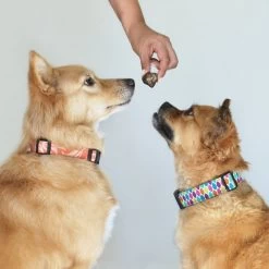 Topdiervoeding Runderlong Hondensnacks - Vers Gedroogd - Knapperig - 1 KG 9 Topdiervoeding Runderlong Hondensnacks - Vers Gedroogd - Knapperig - 1 KG -Dierenwinkel 1200x1200 398