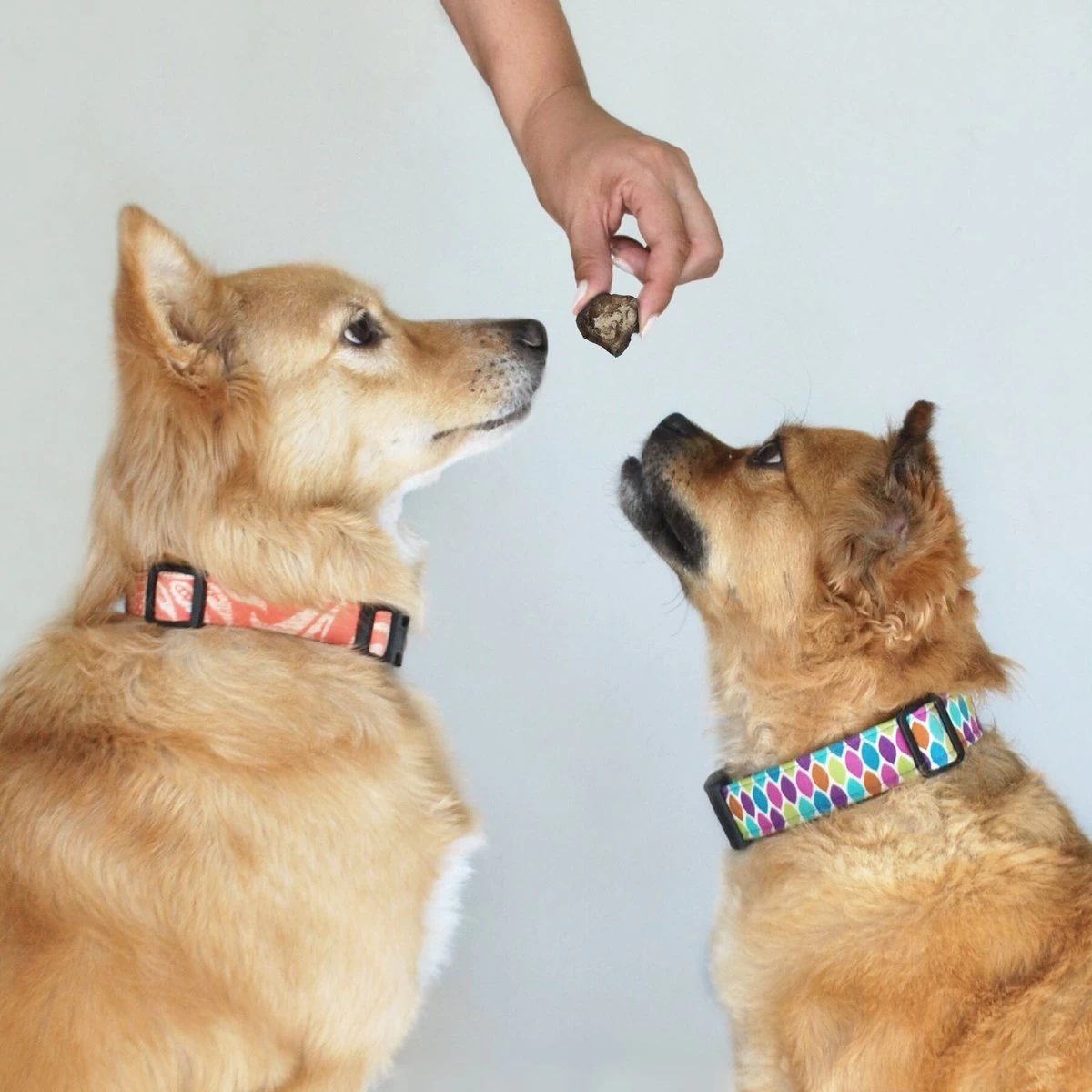 Topdiervoeding Runderlong Hondensnacks - Vers Gedroogd - Knapperig - 1 KG 5 Topdiervoeding Runderlong Hondensnacks - Vers Gedroogd - Knapperig - 1 KG - Afbeelding 3