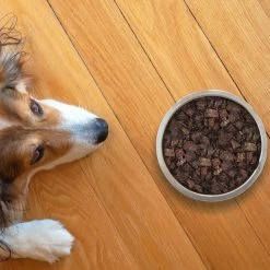 Topdiervoeding Runderlong Hondensnacks - Vers Gedroogd - Knapperig - 1 KG 10 Topdiervoeding Runderlong Hondensnacks - Vers Gedroogd - Knapperig - 1 KG -Dierenwinkel 1200x1200 399