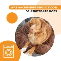 Origineel Hondendeken Voor Bank– Hondenkleed Fluffy – Pluche Hondenbed - Hondenmand Premium - Volledig Afritsbaar 15 Origineel Hondendeken Voor Bank– Hondenkleed Fluffy – Pluche Hondenbed - Hondenmand Premium - Volledig Afritsbaar -Dierenwinkel 1200x1200 402