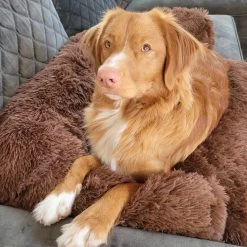 Origineel Hondendeken Voor Bank– Hondenkleed Fluffy – Pluche Hondenbed - Hondenmand Premium - Volledig Afritsbaar 19 Origineel Hondendeken Voor Bank– Hondenkleed Fluffy – Pluche Hondenbed - Hondenmand Premium - Volledig Afritsbaar -Dierenwinkel 1200x1200 406