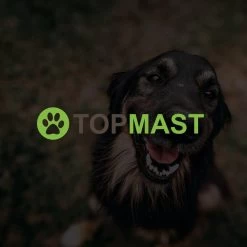 Merkloos Topmast Premium Puppyren - 120 Cm Hoog - 640 Cm Omtrek - Hondenren - Hondenhok - Zwart -Dierenwinkel 1200x1200 414