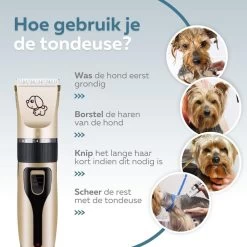 BYER Professionele Dieren Tondeuse Set - Voor Huisdieren Katten & Honden - Draadloos - Oplaadbare Pet Trimmer - Dog Tondeuze Clipper - 5 Standen & Vier Opzetkammen - Low Noise 17 BYER Professionele Dieren Tondeuse Set - Voor Huisdieren Katten & Honden - Draadloos - Oplaadbare Pet Trimmer - Dog Tondeuze Clipper - 5 Standen & Vier Opzetkammen - Low Noise -Dierenwinkel 1200x1200 418