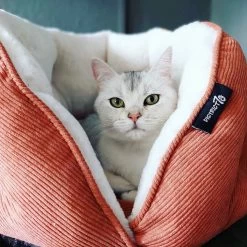 District 70 TUCK - Luxe & Comfortabele Mand Kleine Honden - Terra, Donkergrijs & Zand - 50x50x30 Cm - Zand 19 District 70 TUCK - Luxe & Comfortabele Mand Kleine Honden - Terra, Donkergrijs & Zand - 50x50x30 Cm - Zand -Dierenwinkel 1200x1200 419