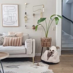 District 70 TUCK - Luxe & Comfortabele Mand Kleine Honden - Terra, Donkergrijs & Zand - 50x50x30 Cm - Zand 27 District 70 TUCK - Luxe & Comfortabele Mand Kleine Honden - Terra, Donkergrijs & Zand - 50x50x30 Cm - Zand -Dierenwinkel 1200x1200 420