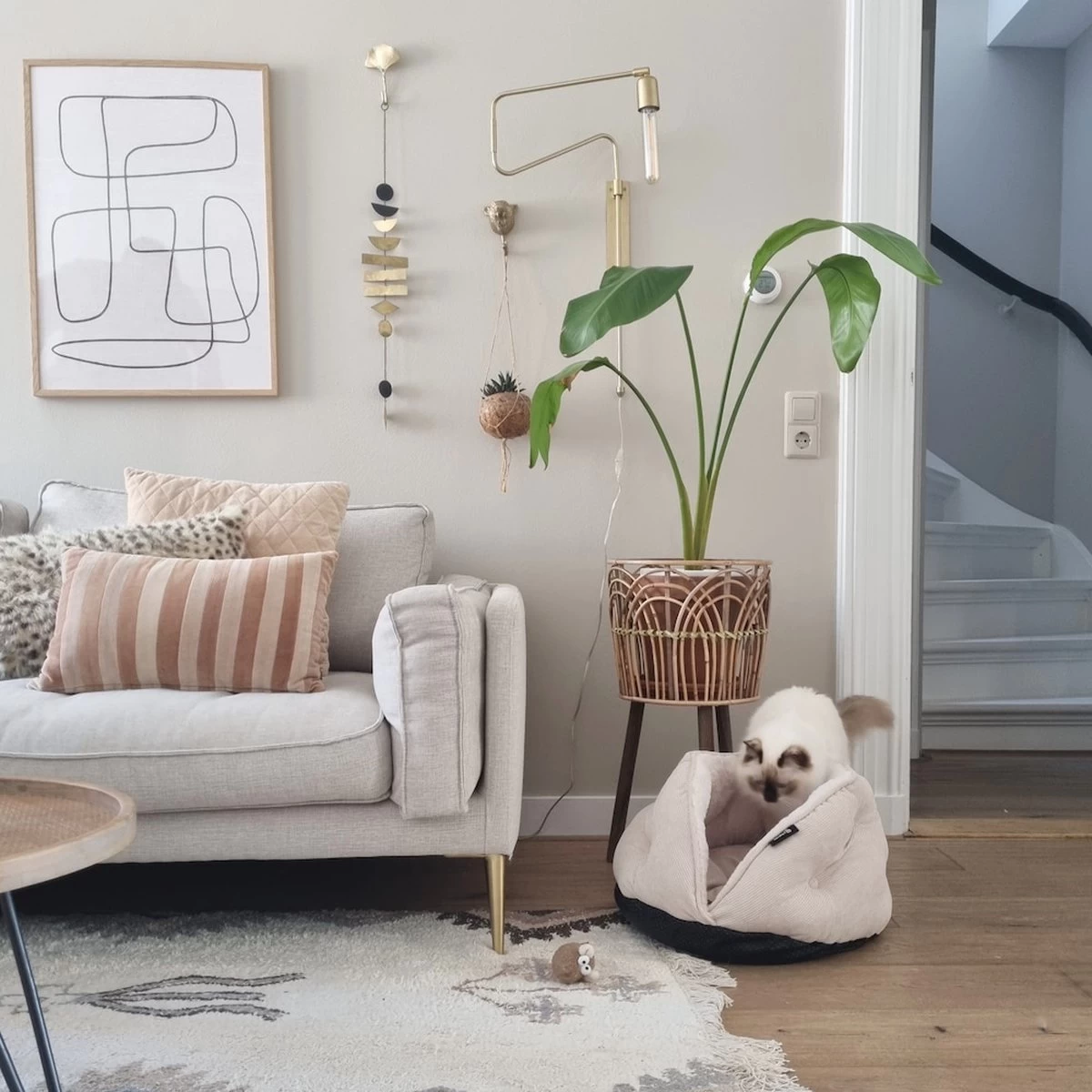 District 70 TUCK - Luxe & Comfortabele Mand Kleine Honden - Terra, Donkergrijs & Zand - 50x50x30 Cm - Zand 12 District 70 TUCK - Luxe & Comfortabele Mand Kleine Honden - Terra, Donkergrijs & Zand - 50x50x30 Cm - Zand - Afbeelding 10