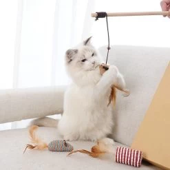 GIZMO Luxe Kattenspeeltjes Set - 7 Speeltjes - Interactieve Kattenhengel, Kattenspeelgoed & Speelmuisjes - Kitten Speeltjes -Dierenwinkel 1200x1200 436