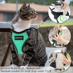 Kattentuigje Met Leiband Riem Kattenharnas Groen Maat M Kat & Kitten - Dieren Kattenriem - Cat Leash - Halsomvang 20 Tot 26cm - Borstomvang 30 Tot 34cm - Zootic® -Dierenwinkel 1200x1200 446