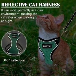 Kattentuigje Met Leiband Riem Kattenharnas Groen Maat M Kat & Kitten - Dieren Kattenriem - Cat Leash - Halsomvang 20 Tot 26cm - Borstomvang 30 Tot 34cm - Zootic® -Dierenwinkel 1200x1200 447