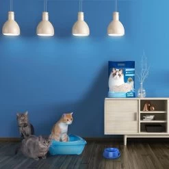 Nobleza 48REM - Tofu Kattenbakvulling - Snel Absorberend - 3.8 L - Klontvormend - 2 Kg -Dierenwinkel 1200x1200 485