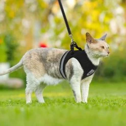 Merkloos Kattentuigje Met Looplijn | Zwart Kattenharnas | Easy Step In | Kattenriem | Kattenlijn | Kattentuig | Maat S -Dierenwinkel 1200x1200 488