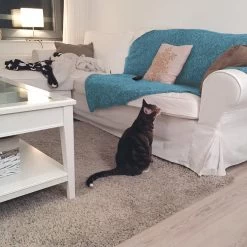 HG Tegen Urine Geur - 500 Ml - Effectief En Snel Resultaat - Neemt De Geur Definitief Weg -Dierenwinkel 1200x1200 503